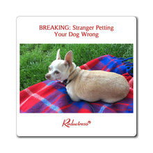 "BREAKING: Stranger Petting Your Dog Wrong" Magnet